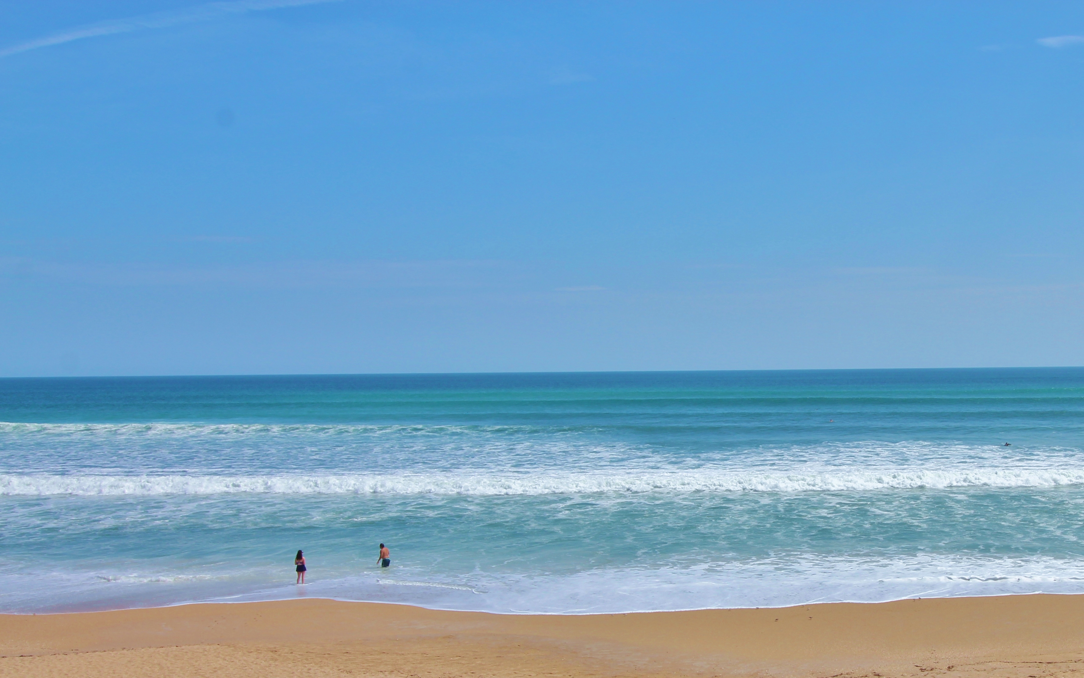 Image for Spring 2026